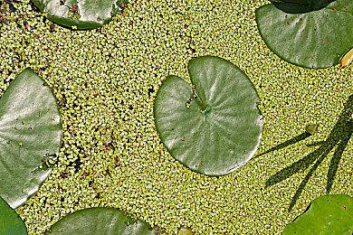 《暗黑破坏神4》将于三月加入光追反射和阴影